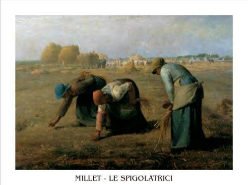 Le spigolatrici