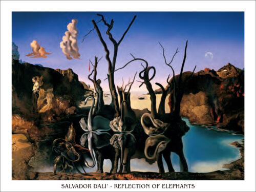 Reflection of elephants