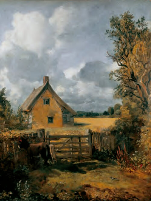 Cottage a Cornfield