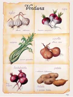 Aglio