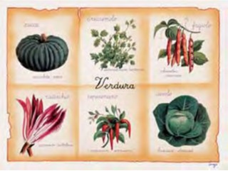 Zucca