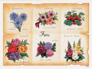 Fiordaliso