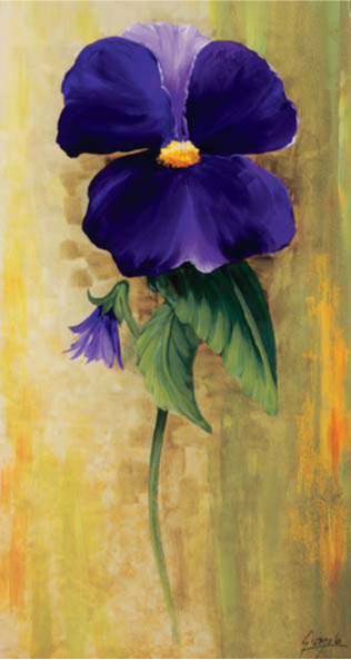 Panse vioLá