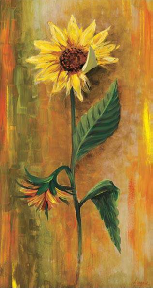 GirasoLá