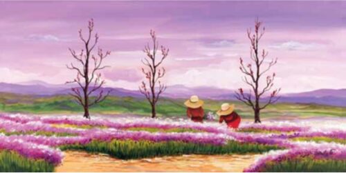 Raccolta in primavera
