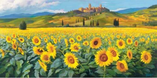 Girasoli